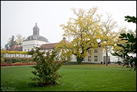 Köpenicker Schlosspark bei Nebel