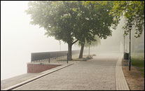 Luisenhain im Nebel